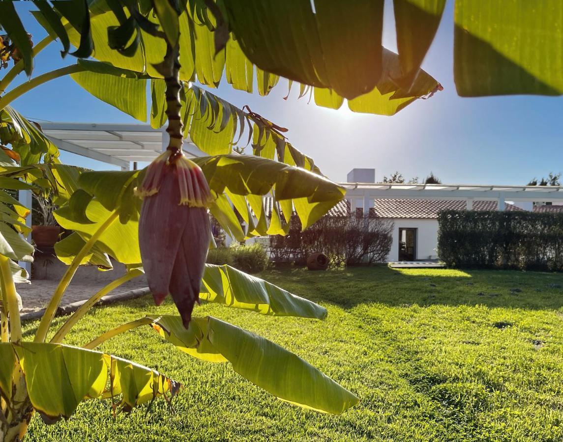 Herdade Do Kuanza Zambujeira do Mar Exterior photo