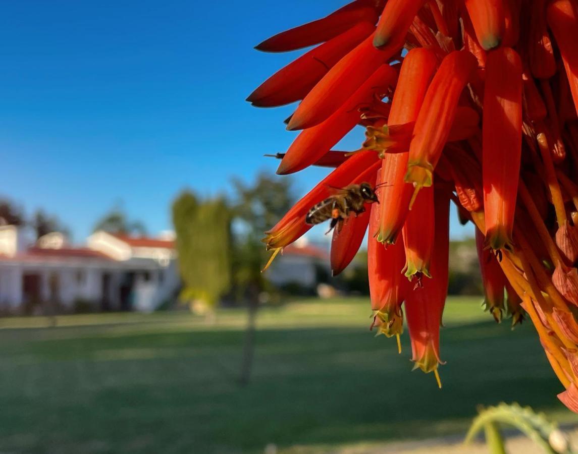 Herdade Do Kuanza Zambujeira do Mar Exterior photo